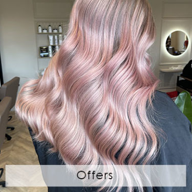 Offers Offers